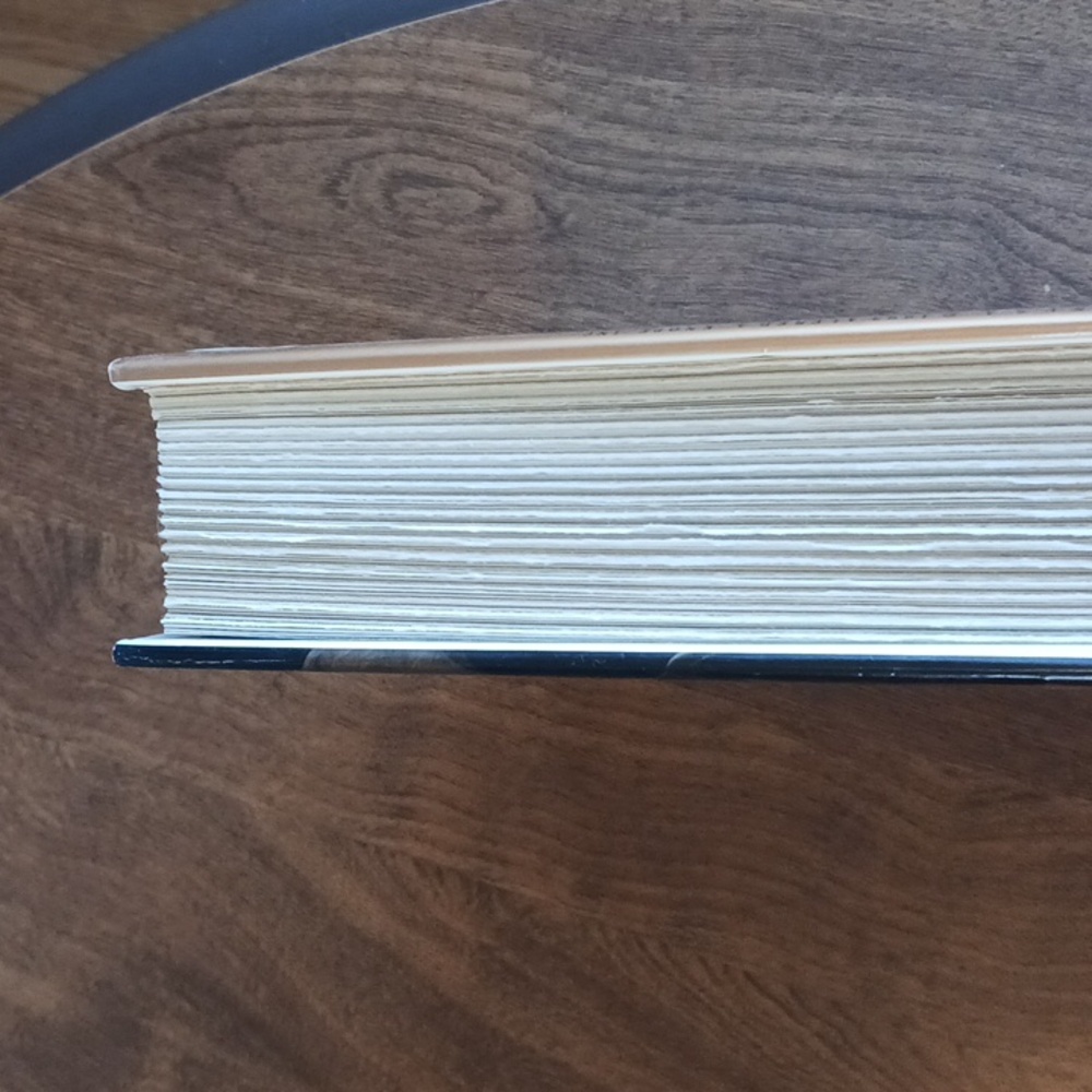 ANNE RICE LASHER RARE FIRST ADDITION HARDCOVER - Picture 6 of 8